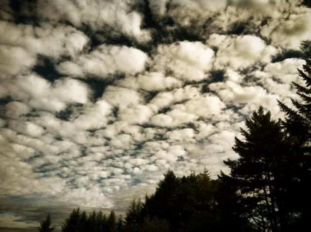 Escheresque clouds
