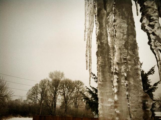 Eavesdropping on icicles_1