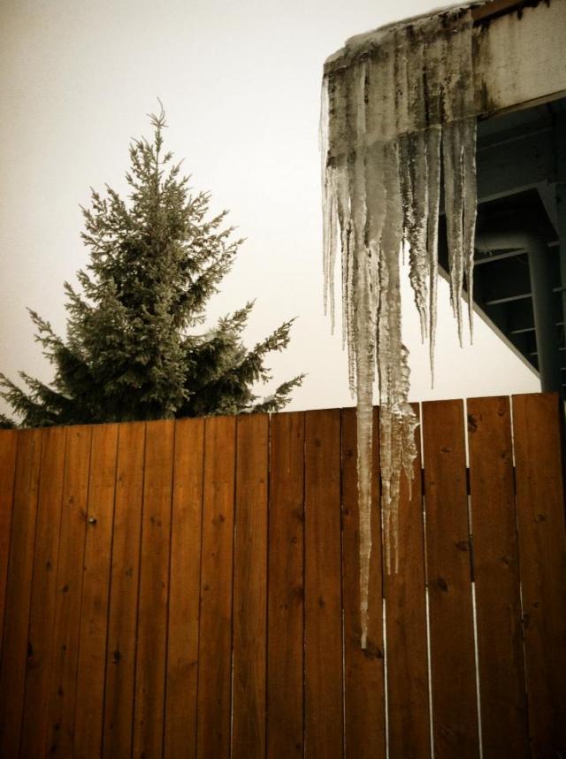 Eavesdropping on icicles_2