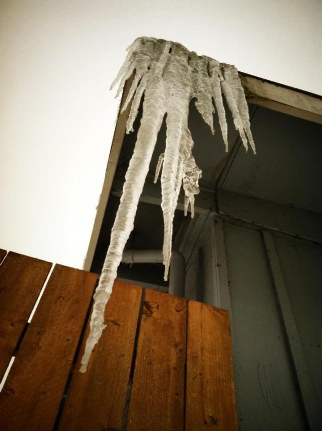 Eavesdropping on icicles_3